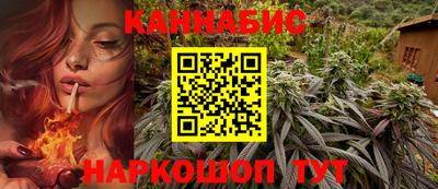 дмт Донской