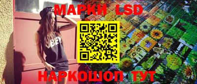 дмт Донской
