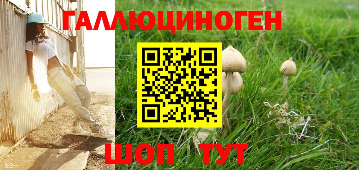 Псилоцибиновые грибы Magic Shrooms  Псилоцибиновые грибы Cubensis  Звенигород  Вход с VPN 