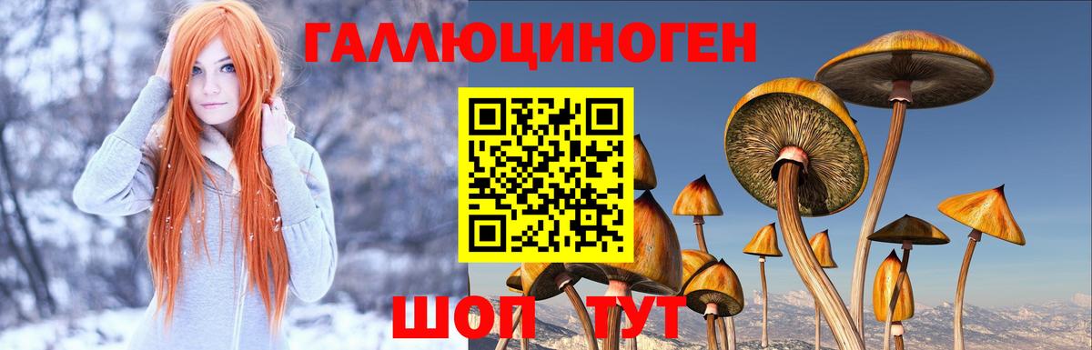 Галлюциногенные грибы MAGIC MUSHROOMS Звенигород